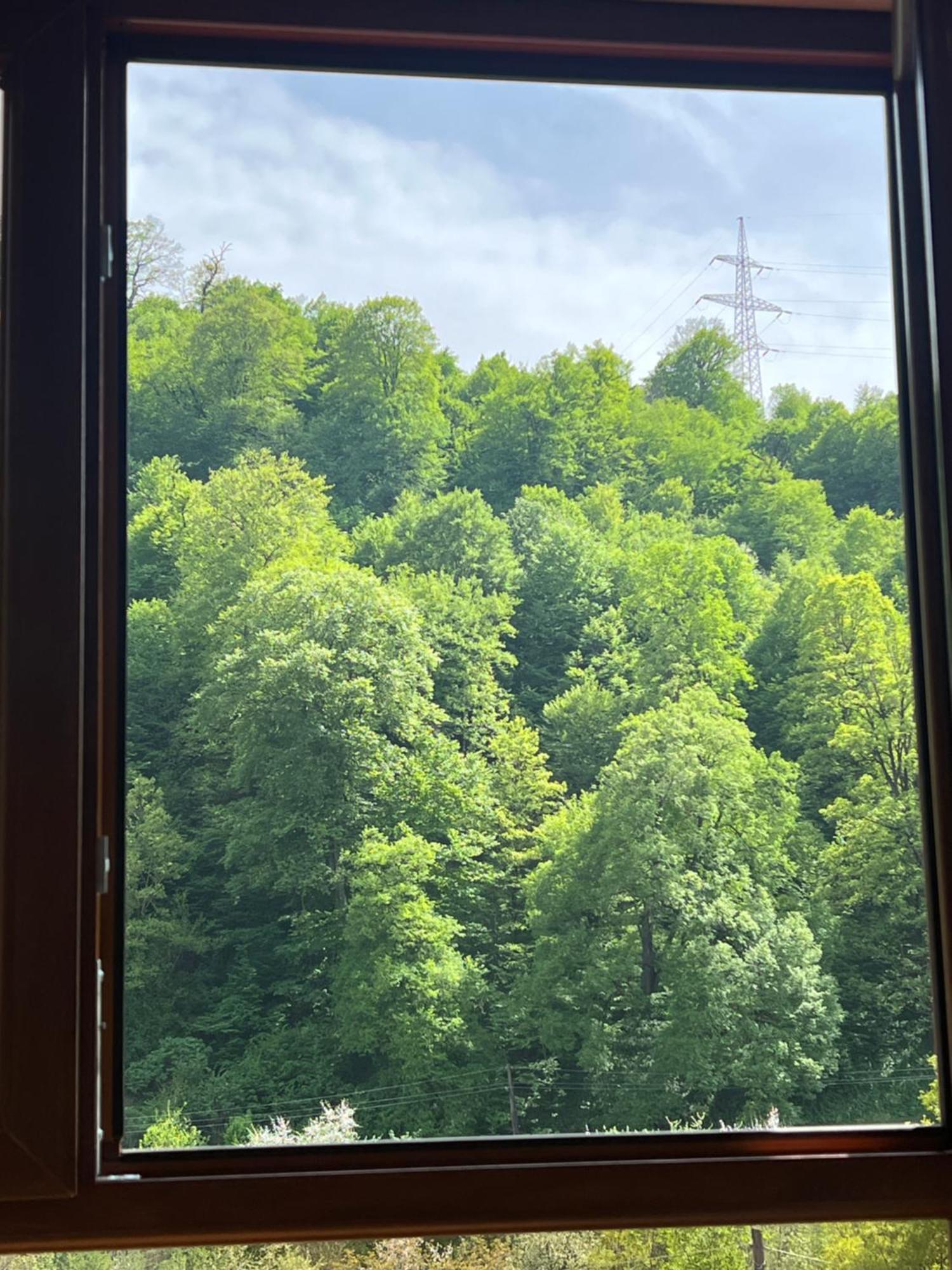 Maru House Ξενοδοχείο Dilijan Εξωτερικό φωτογραφία